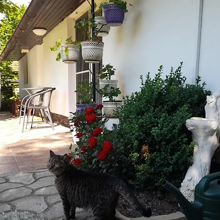 펜션 Oaza Klidu V Brezove